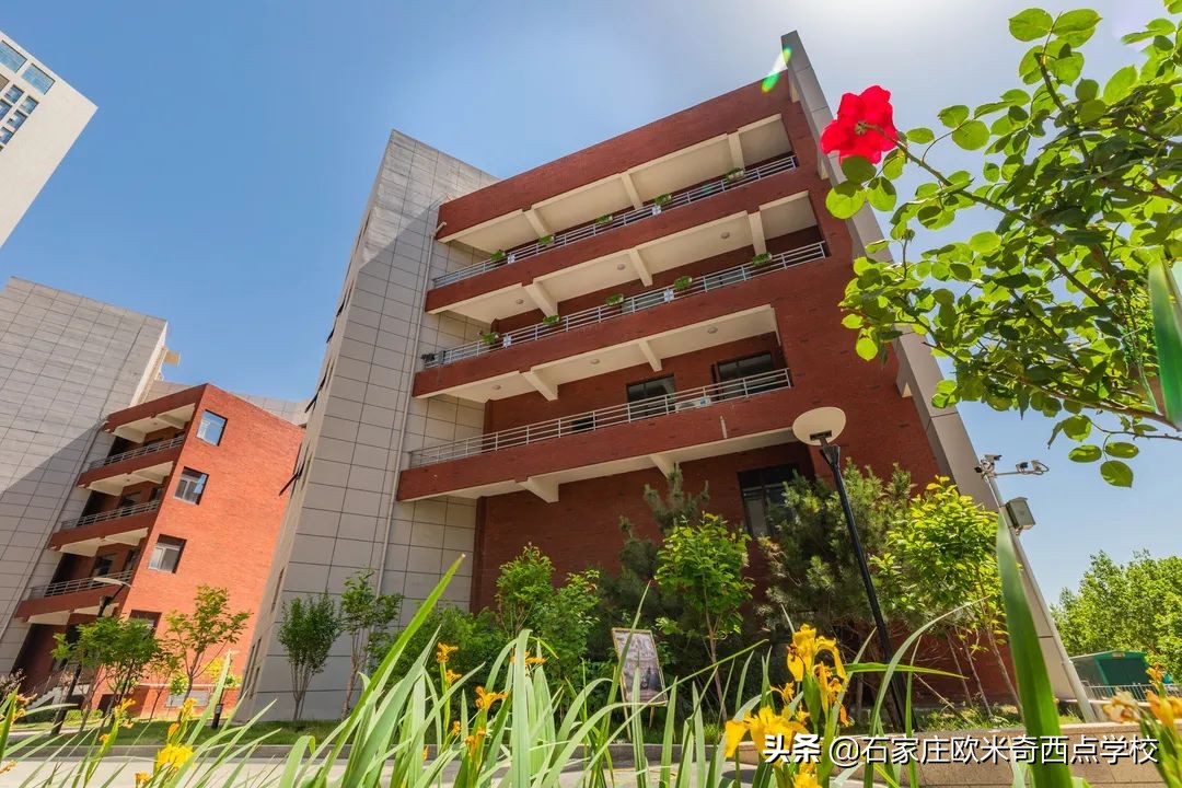 石家庄学西点烘焙去哪里？贵不贵？学费多少？