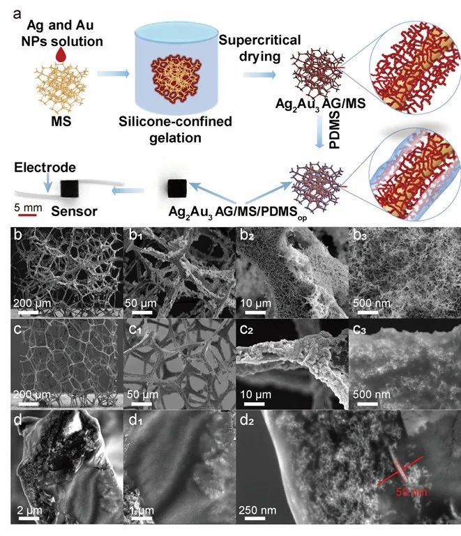 中山大学在金属气凝胶高稳定性柔性压力传感器应用方面获进展