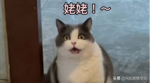 短视频你应该知道的运营干货