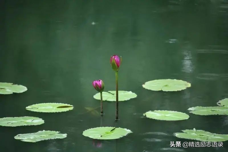 在变老的路上，照顾好自己