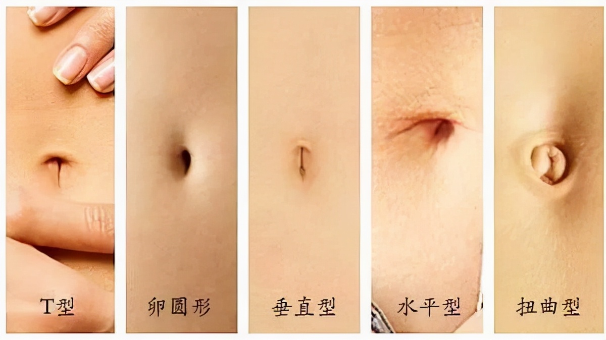 为什么不能乱抠肚脐眼？原来，肚脐眼连的根本不是肠子