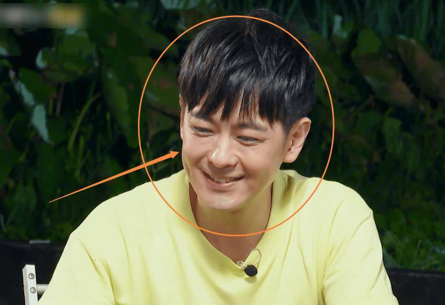 林志颖：妻子被亲妈处处针对却视而不见，如今撒谎成性前途堪忧？