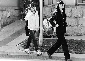 铁道部运输局局长张曙光落马记：人的贪欲永无休止