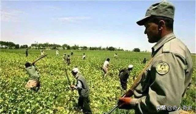 白人的天堂，女人的地狱，“黄赌毒”泛滥的柬埔寨，到底有多乱？