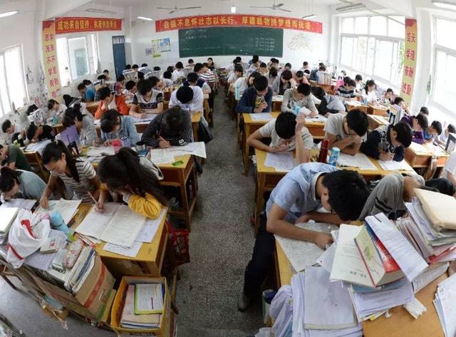 小学生写“人生规划”，把未来道路安排得很明白，计划32岁得诺奖