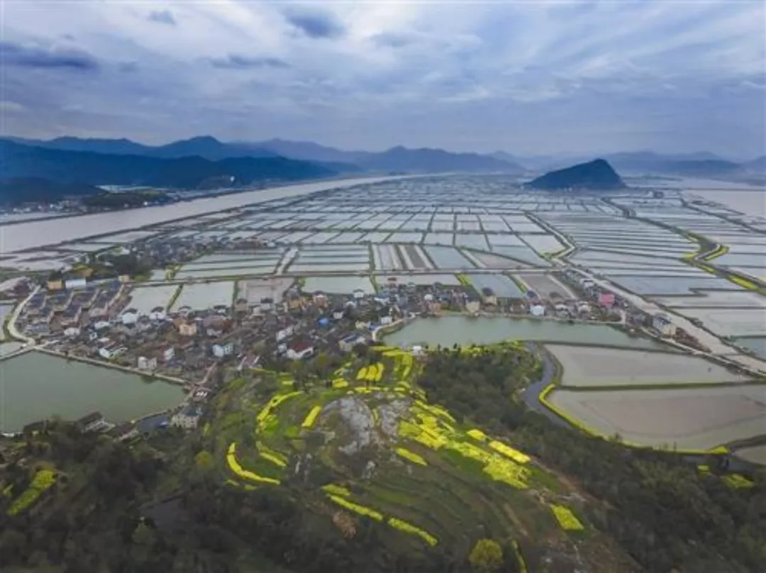 中國這些小鎮(zhèn)，承包了歐美的高端餐桌