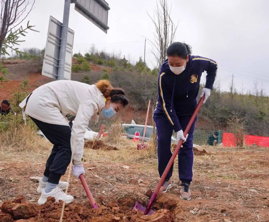 临潭县四大班子领导带头参加春季义务植树活动