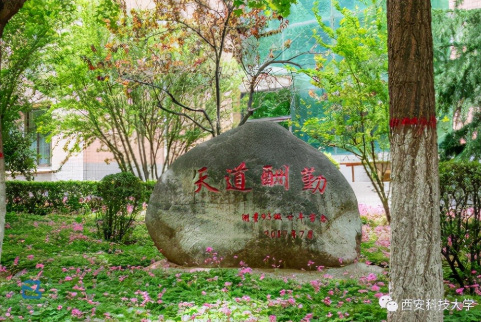 陕西最“国际范”大学：5年豪掷650余万，资助上千学生出国学习