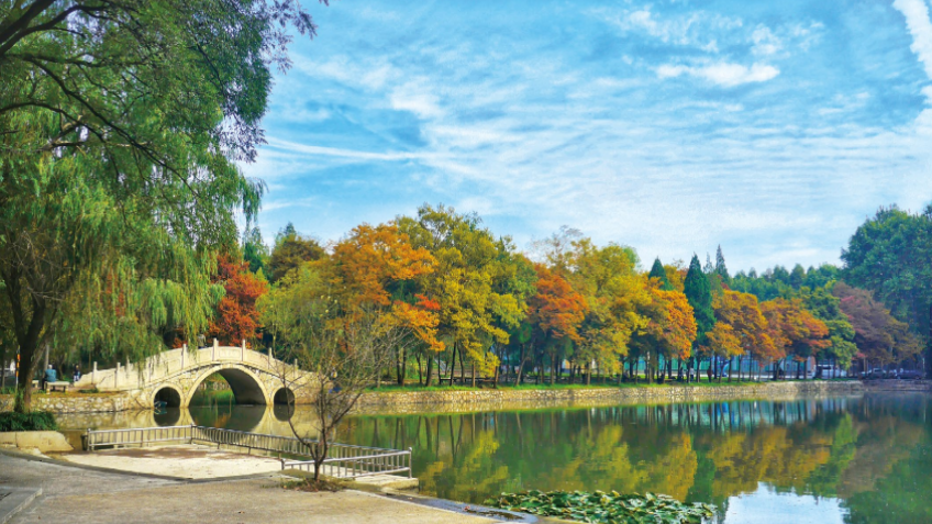 上海财经大学为什么分数这么高（这3所大学被称为984）