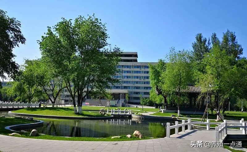 黄贺，东北农业大学动物遗传育种与繁殖系副教授，动物繁殖专家