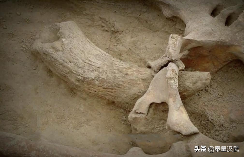 舜传位给禹后，为何却死在两千里外的湖南？考古有了颠覆发现