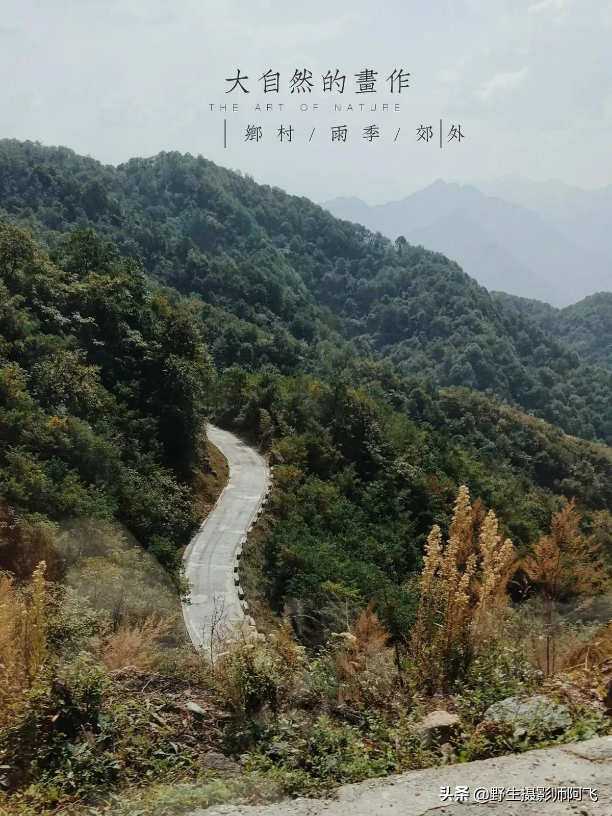 教你用这几款修图工具轻松做出高逼格照片
