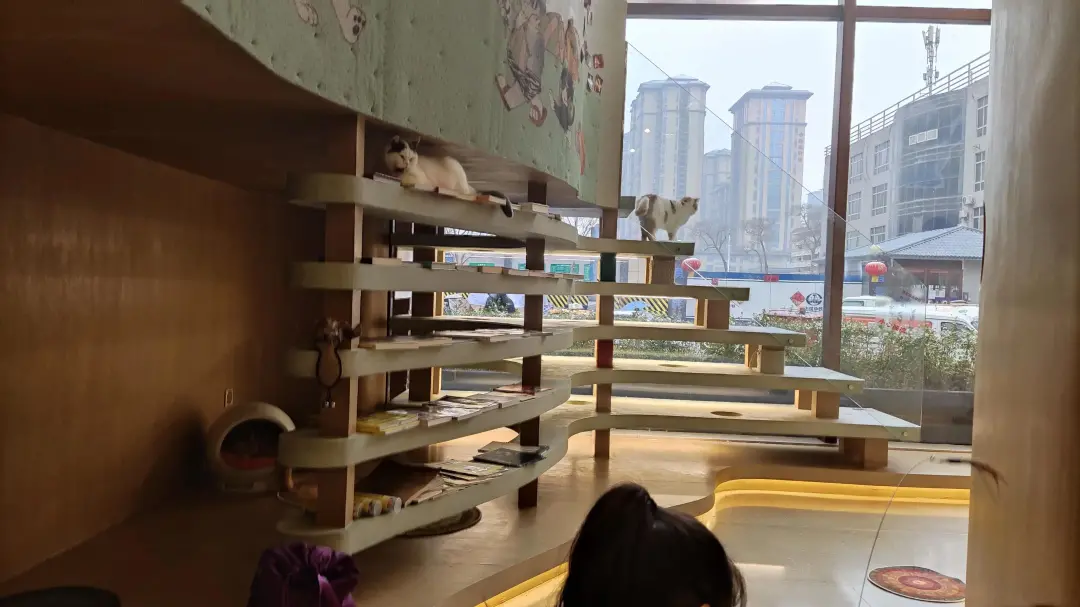 设计见闻 | 西安方所书店,城市公共文化空间
