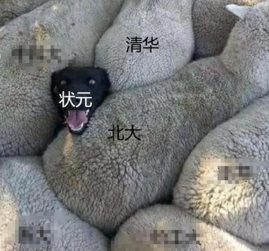 清华北大的路子有多野？还没开始高考，就已经开始了抢人计划