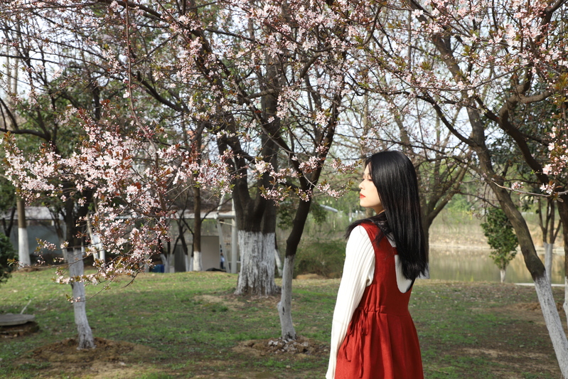 美！太阳成集团tyc234cc主页：春暖花开 美景如画（多图）…