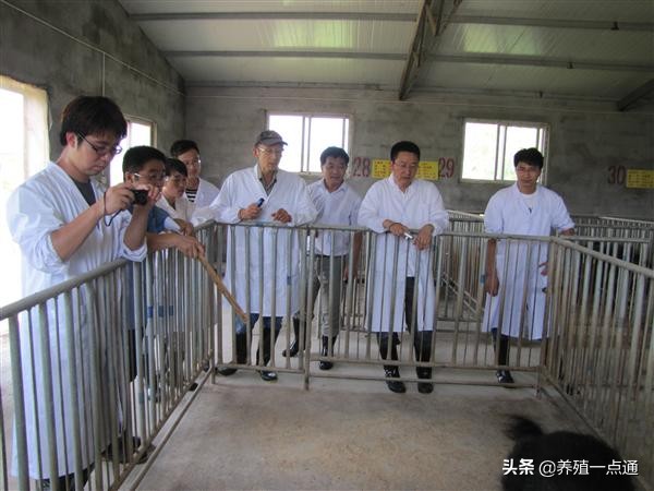 殷宗俊，安徽农业大学动物科技学院教授、博导，动物遗传育种专家