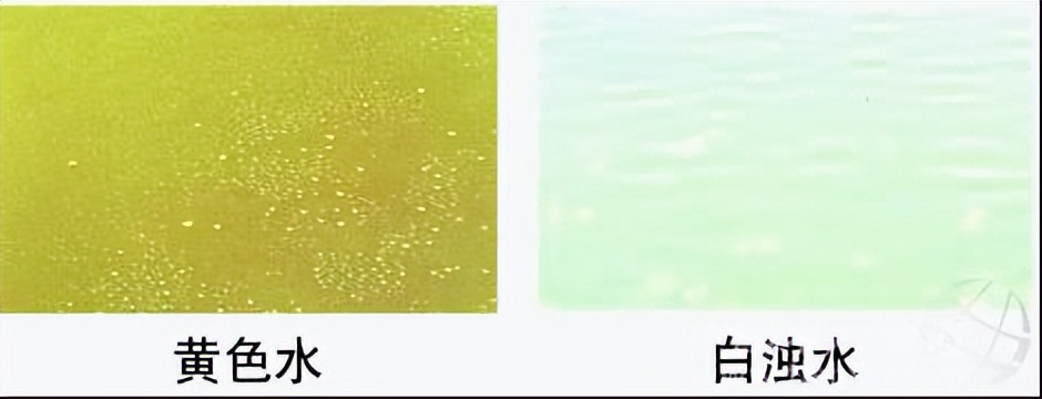 水色图谱：优良水色和不良水色