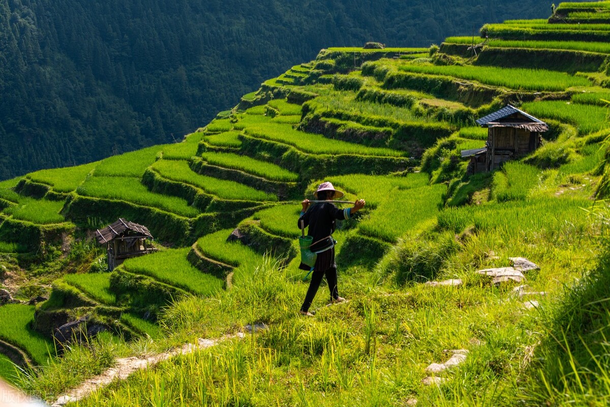 假如没有贵州，中国的春天就要凋零一半