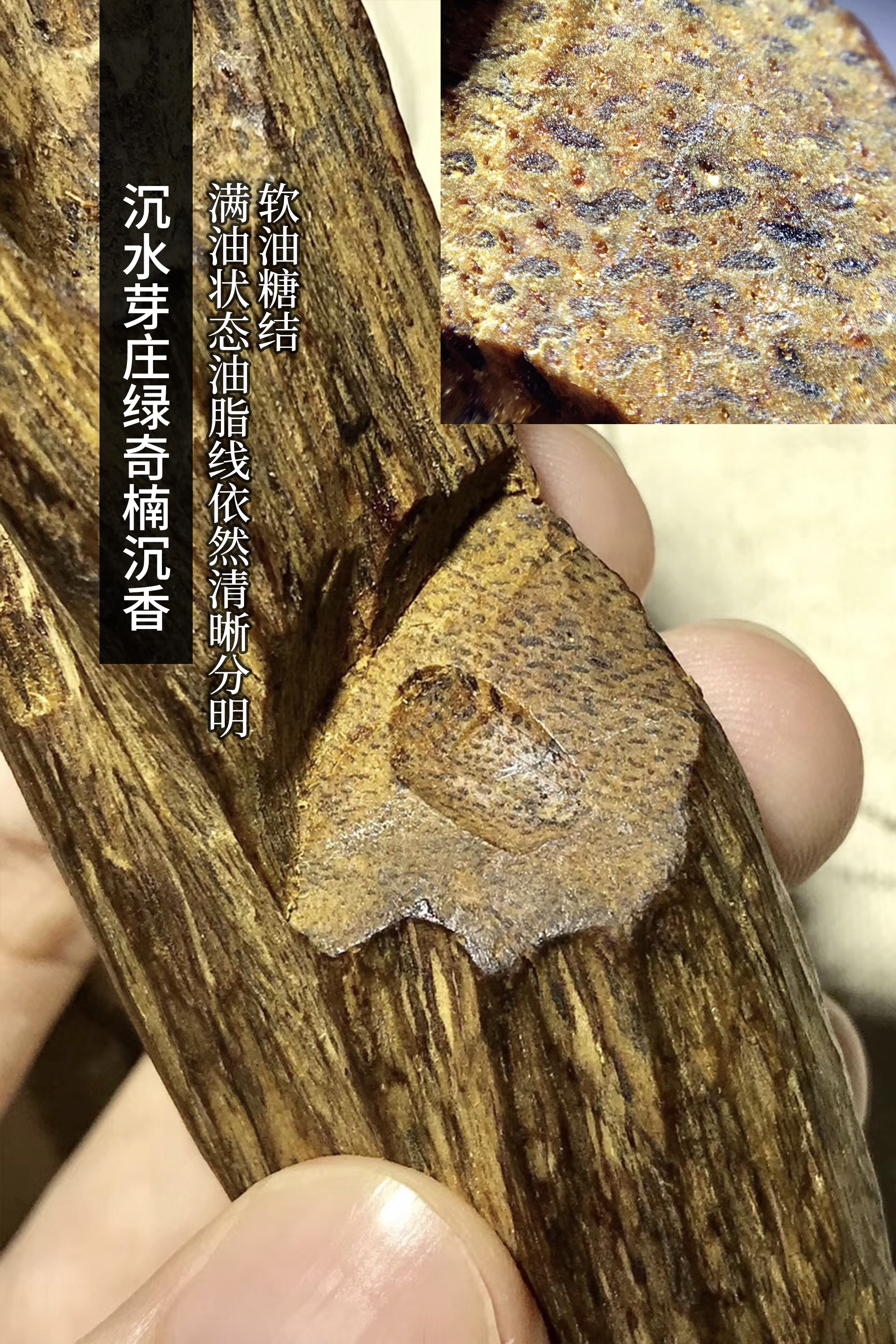 奇楠香价格行内对奇楠沉香的定义