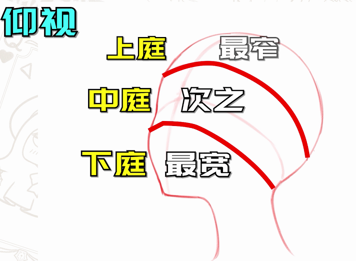 「干货」画脸只会画一个角度？教你学会不同角度的头部画法