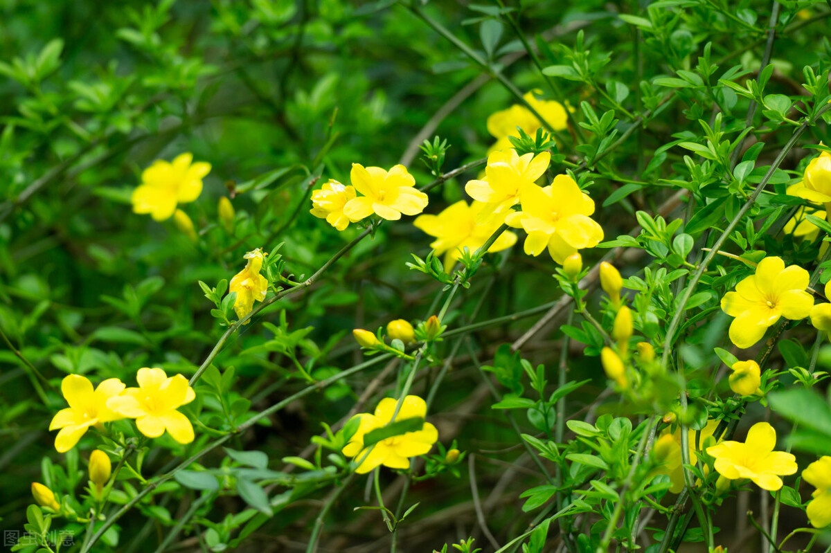 让男人更爱你的高手段：“风情”
