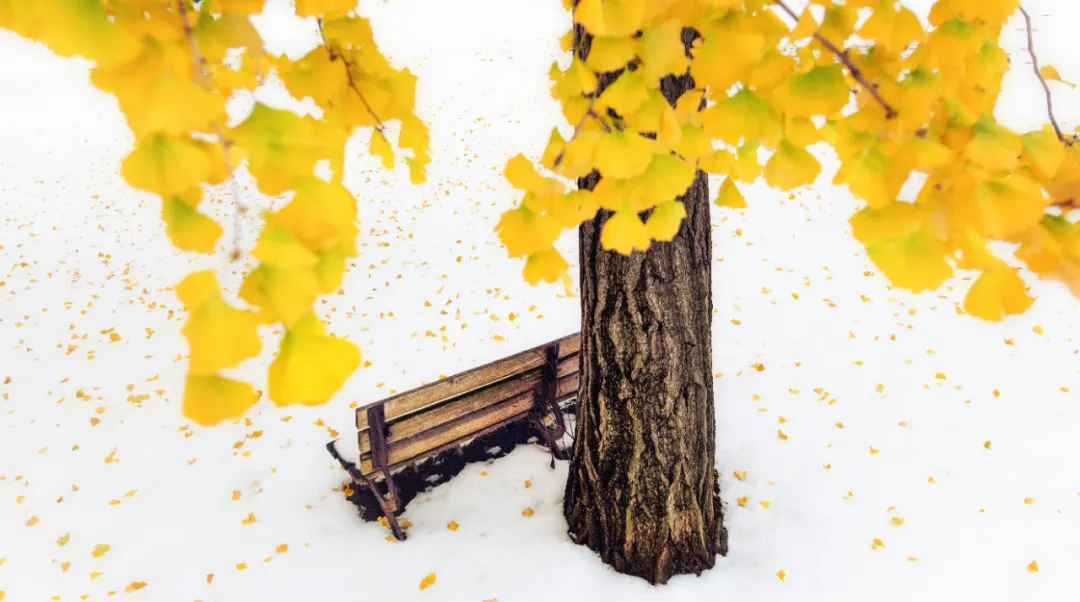 获奖名单公布！大工原来这么美