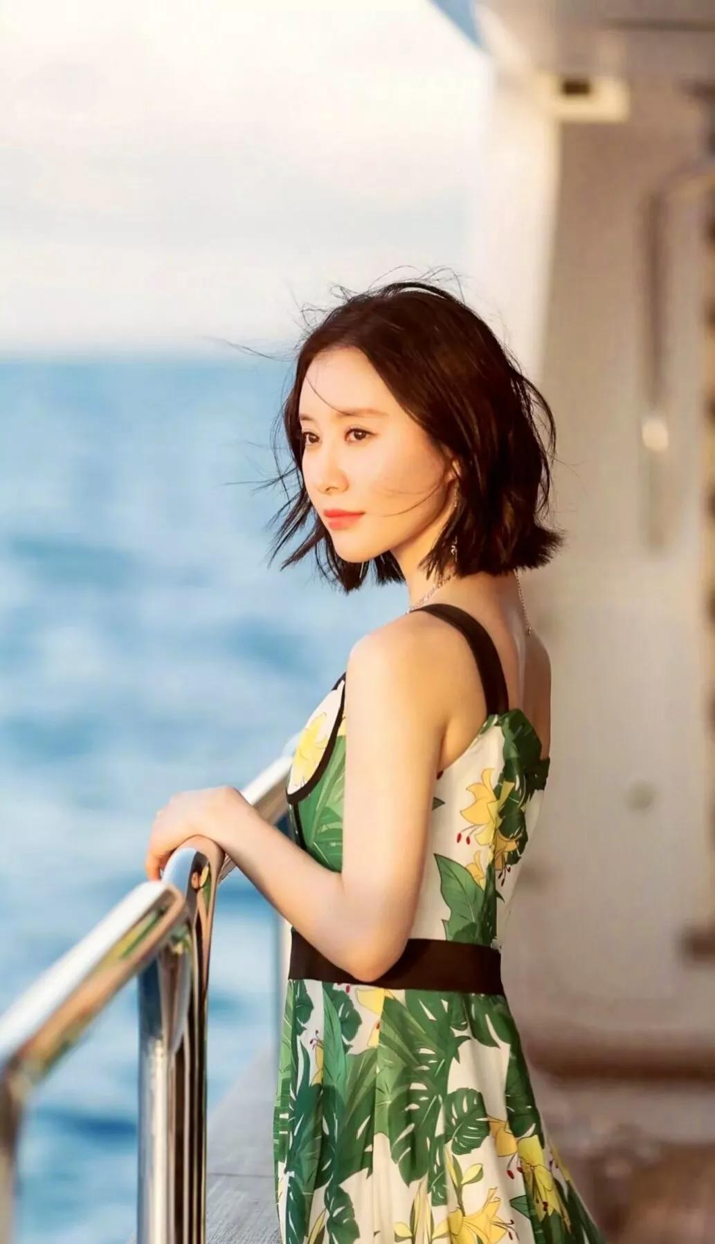 手机桌面，明星许龄月、甘婷婷、舒畅和戚薇