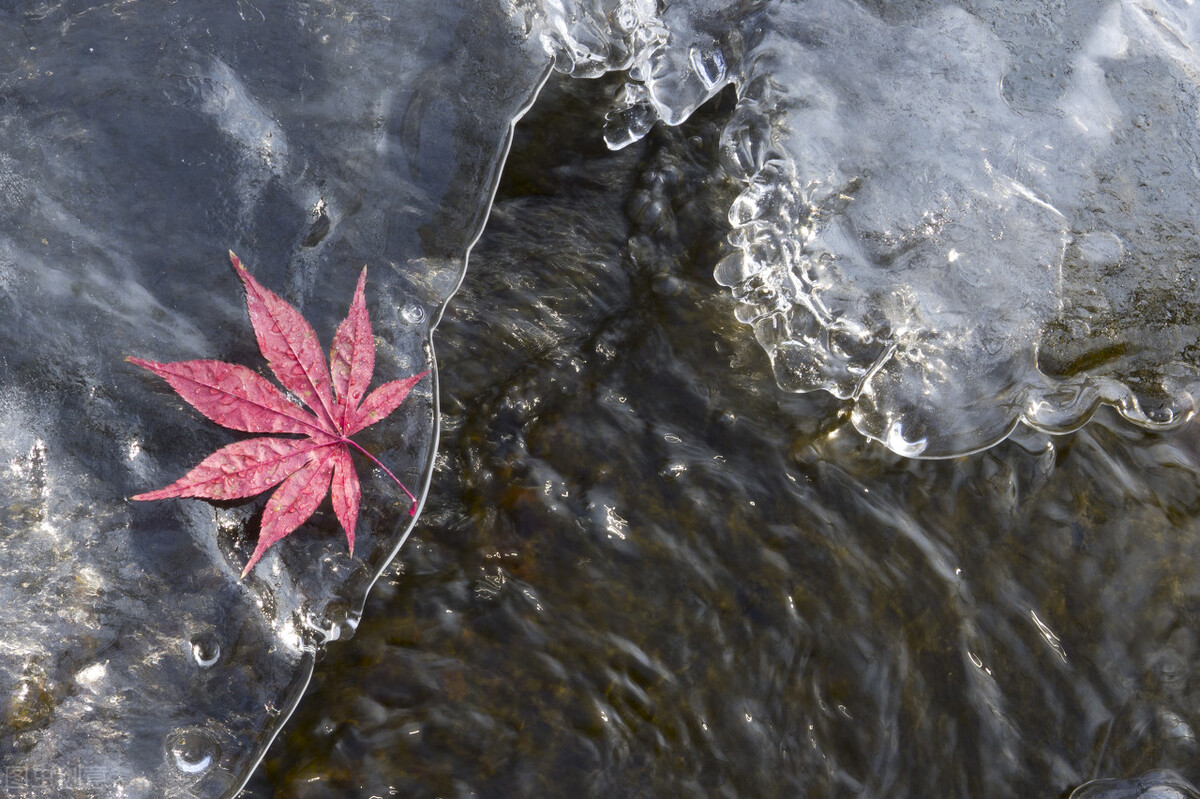过敏性鼻炎？2个经方作加减，不再鼻塞鼻痒，就连晕机晕车也好了