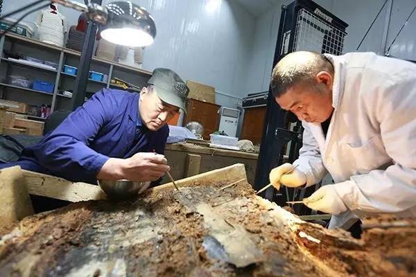 历史专业：属于冷门专业吗？就业前景如何？好不好找工作？