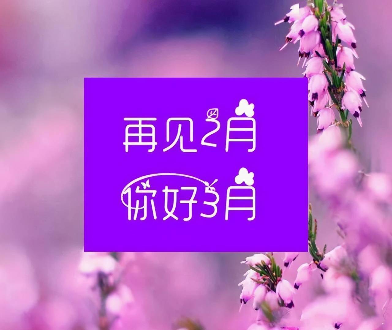 二月，再见；三月，你好