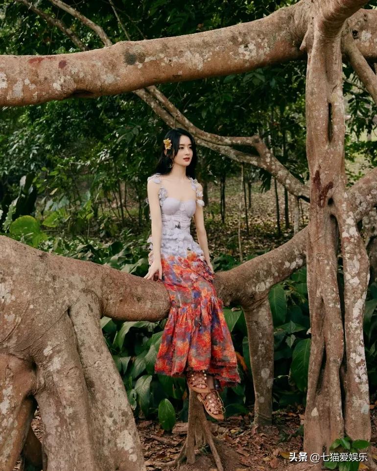 女星的辨识特质：赵丽颖的小脚，刘诗诗的天鹅颈，李沐宸的招风耳