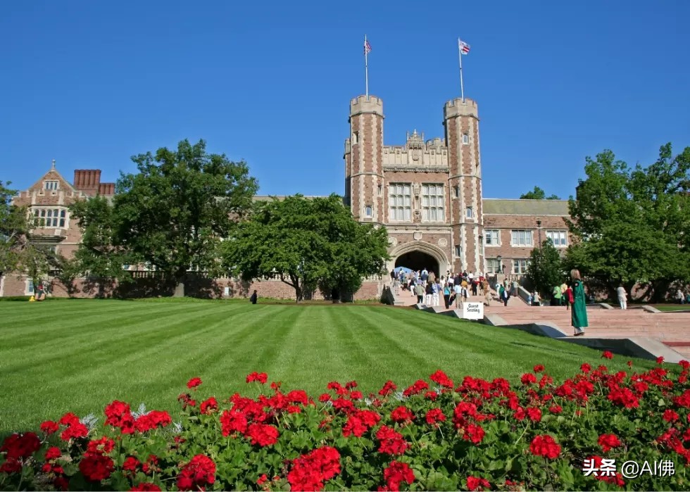 2022年美国大学排名最高的州