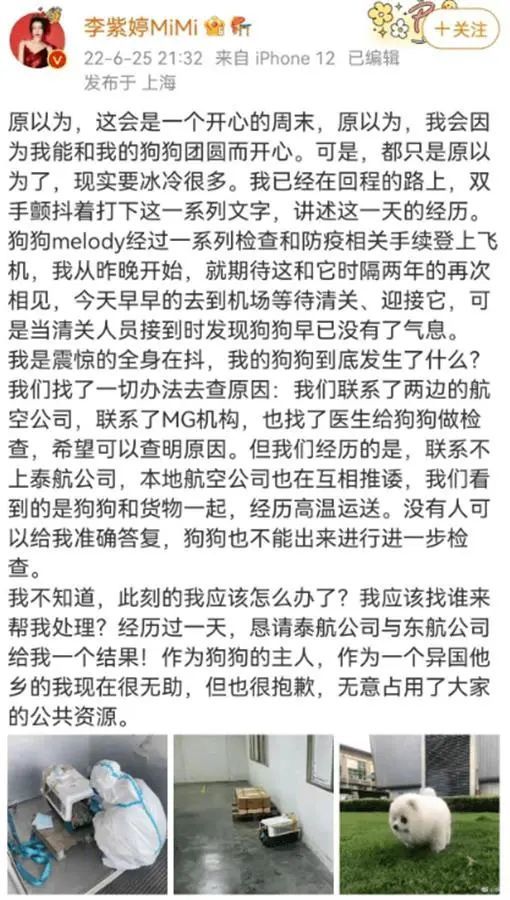 又一起!爱犬托运后死亡,知名女星愤怒发声!航空公司回应