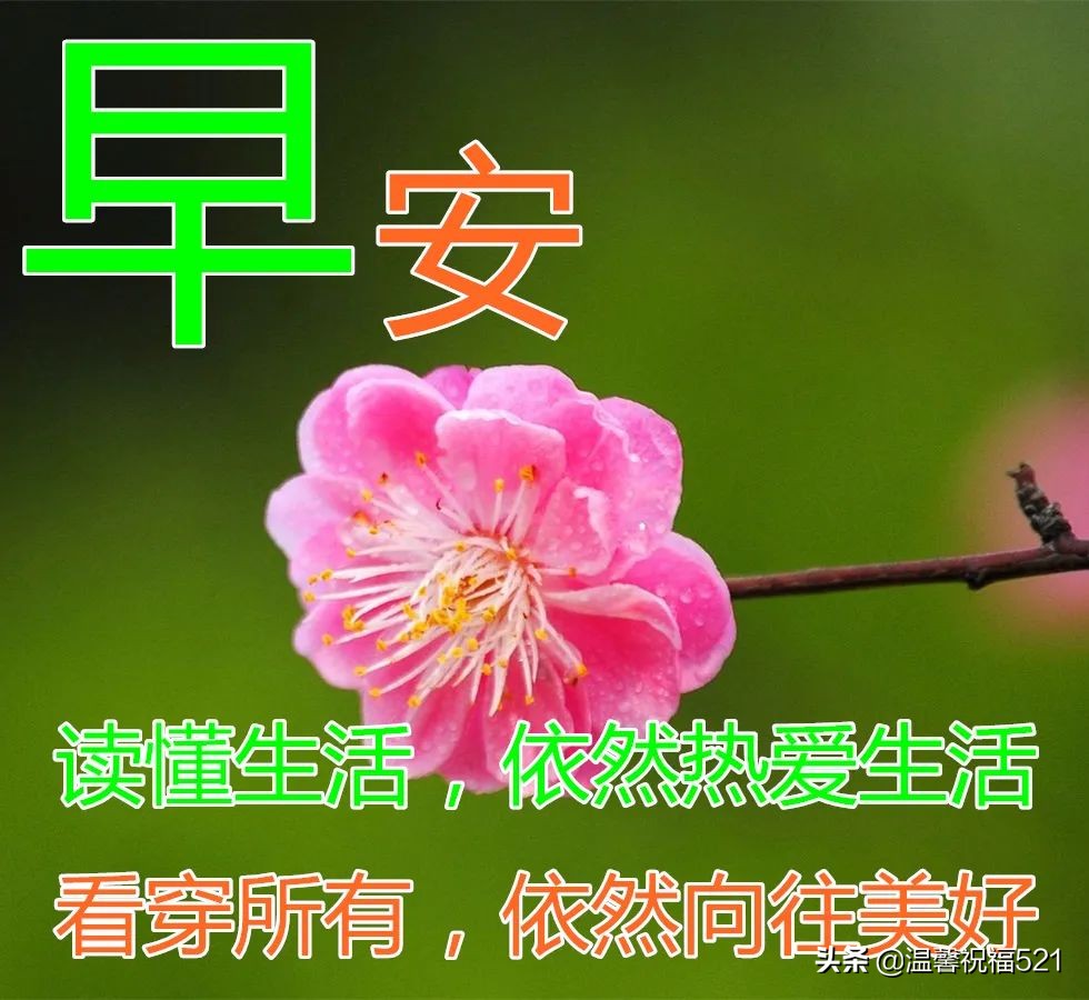 3月26日最新周六早安祝福朋友美句，早晨好愿你永远幸福平安