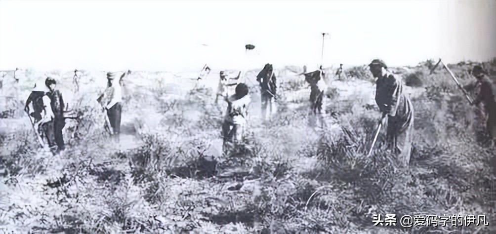 中国最伟大的部队，人类史上的奇迹——新疆生产建设兵团