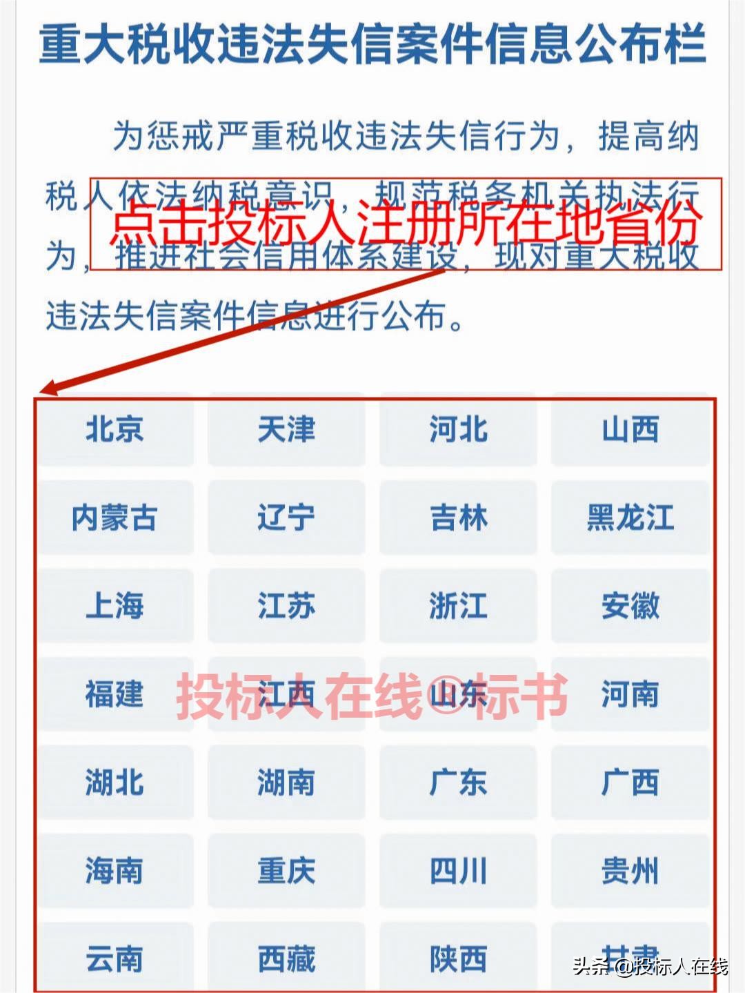 有重大税收违法失信，投标人将失去投标资格