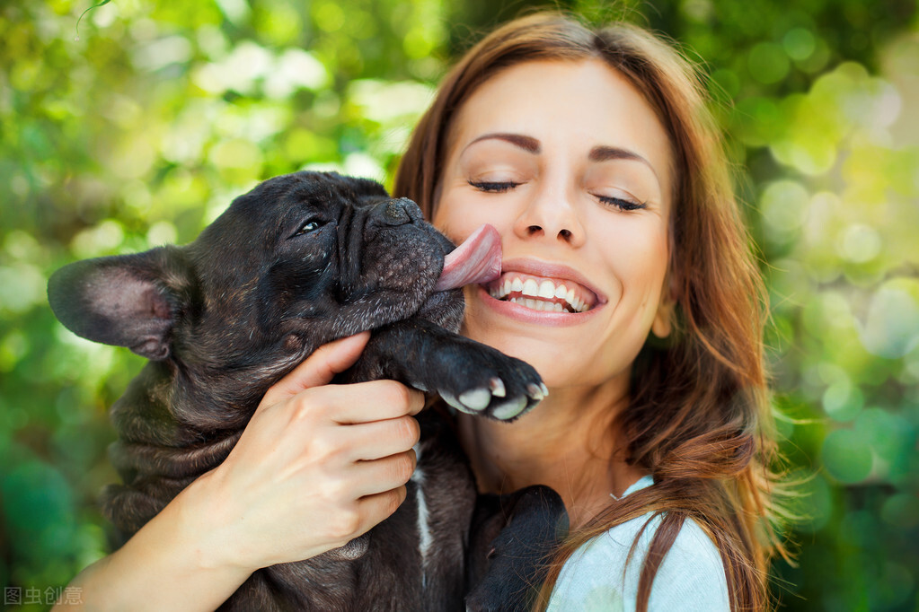 为什么法斗犬越来越多人养？网友：养了才知道“真香”