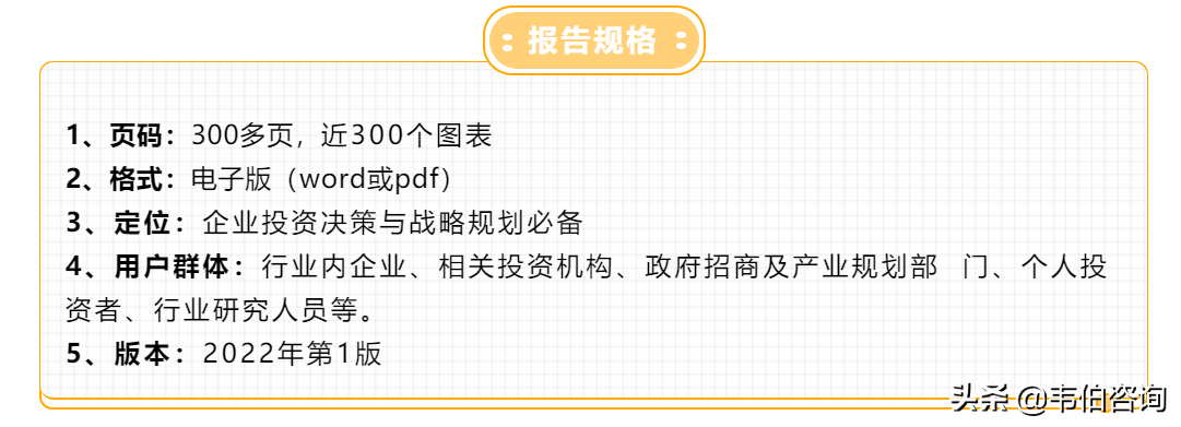 2022年中国储能行业专题调研报告——派能科技业务分析（简版）