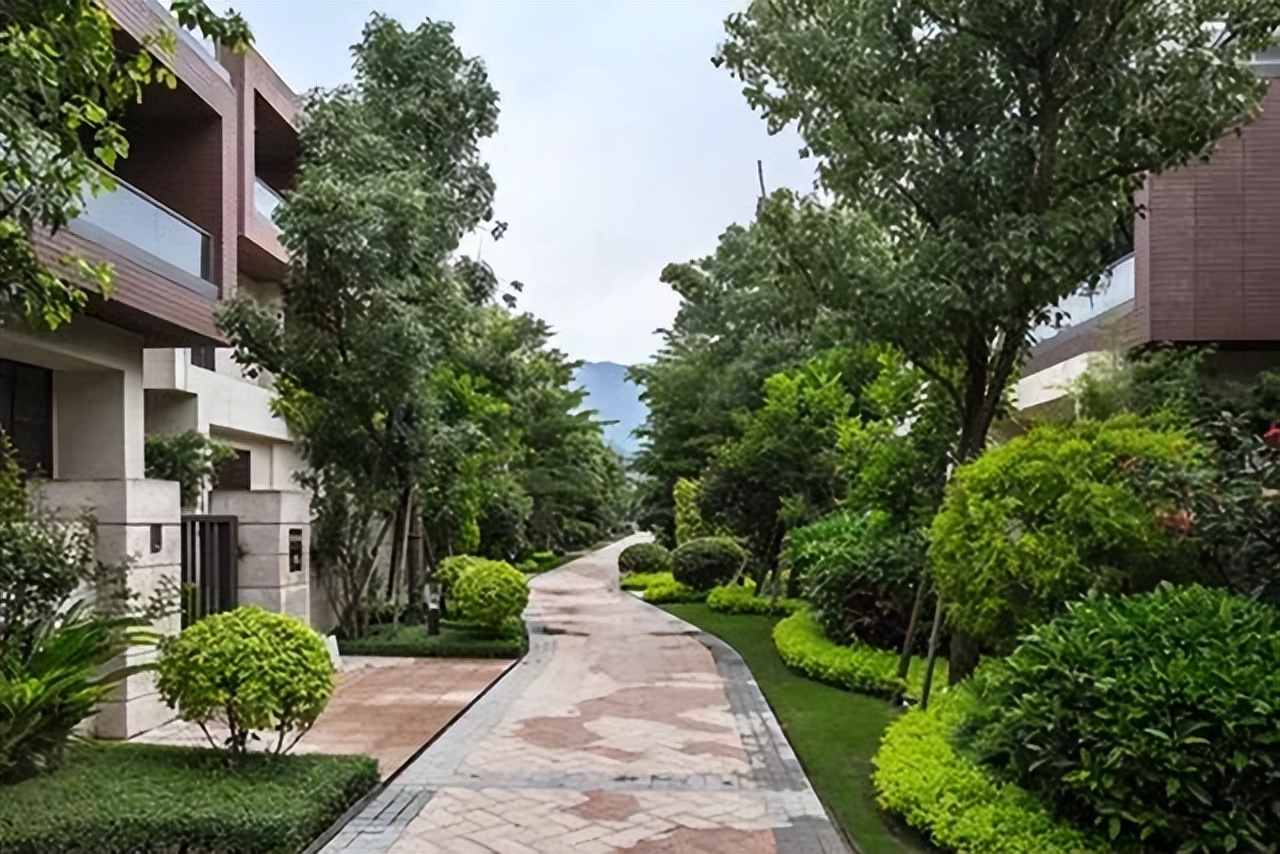 案例：2019年富豪包养女大学生付出2千余万，3个孩子却都非亲生