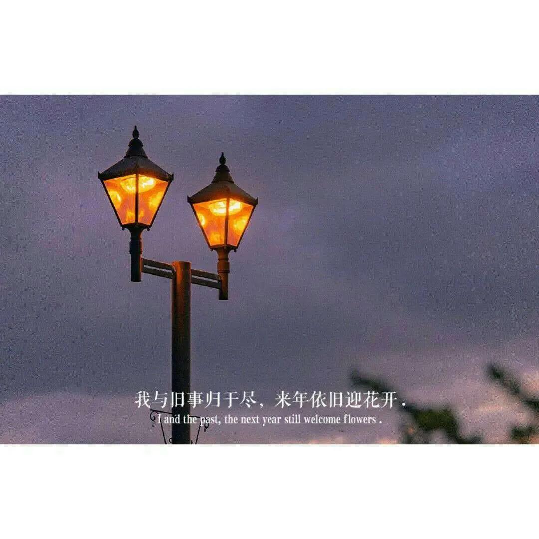 我的青春谁做主语录