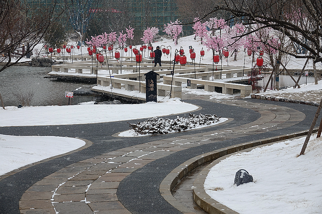 雪游九洲池