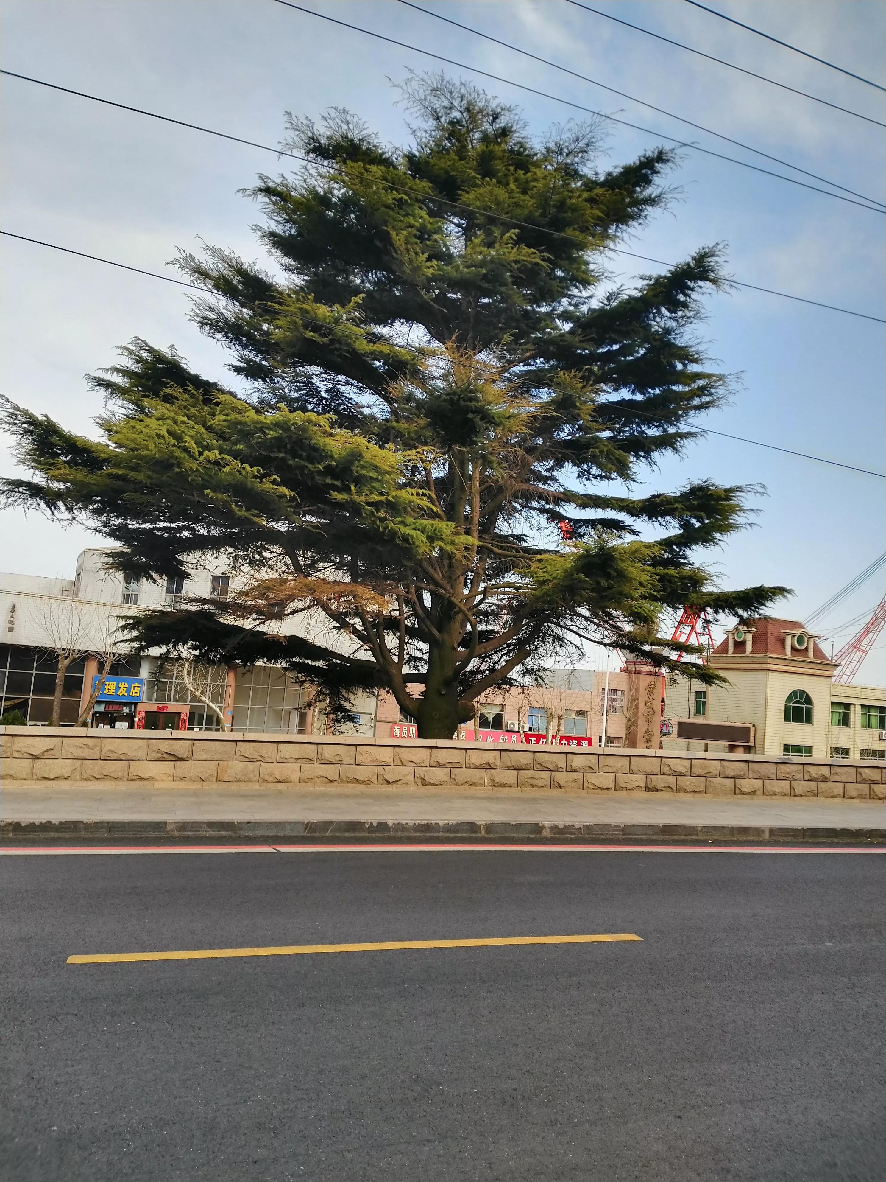 做律师有非常多的业务值得研究