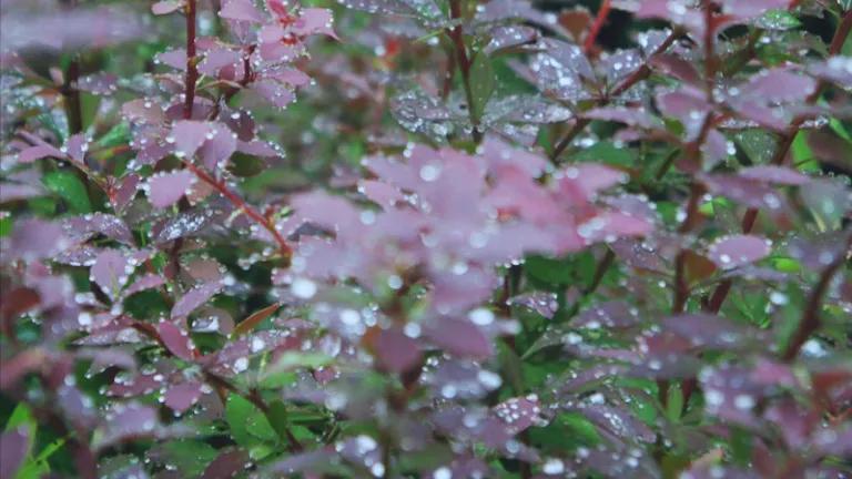 无边春雨细如愁，描写愁最好的九首古诗词，且看愁都是什么样的？