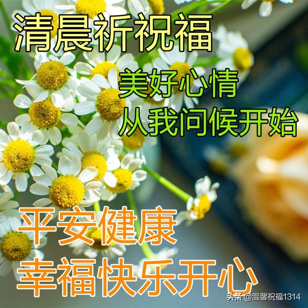 早晨最暖心的问候图片 给朋友温馨祝福问候