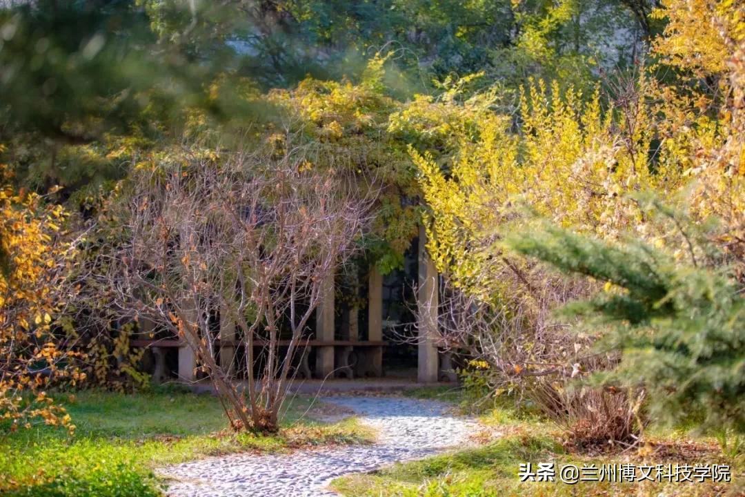 兰州博文科技学院2022年招生简章