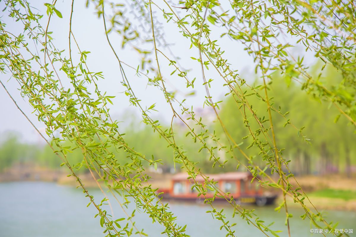 当唐诗宋词遇上春日美景，一起感受春天里的诗意美景