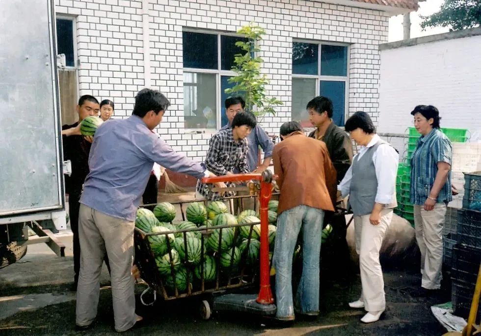 中国人的夏天，全靠西瓜续命