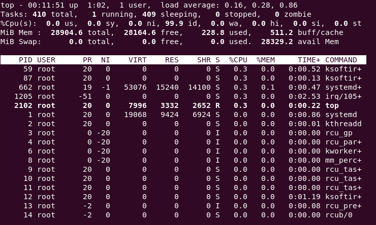 XPU Performance Test