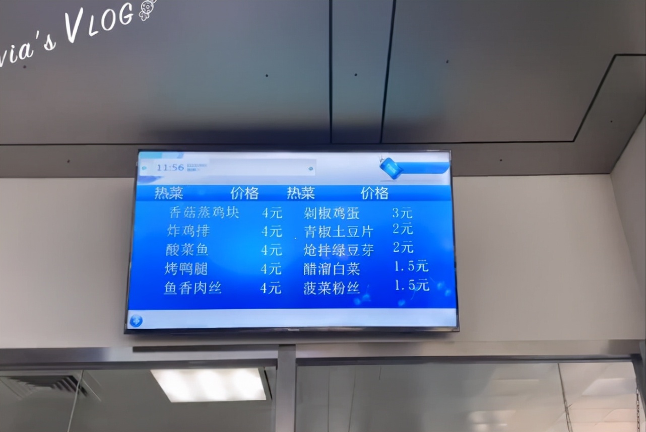 明星校园生活大不同！AB一周10块钱，郑恺开豪车上学，杨紫接地气