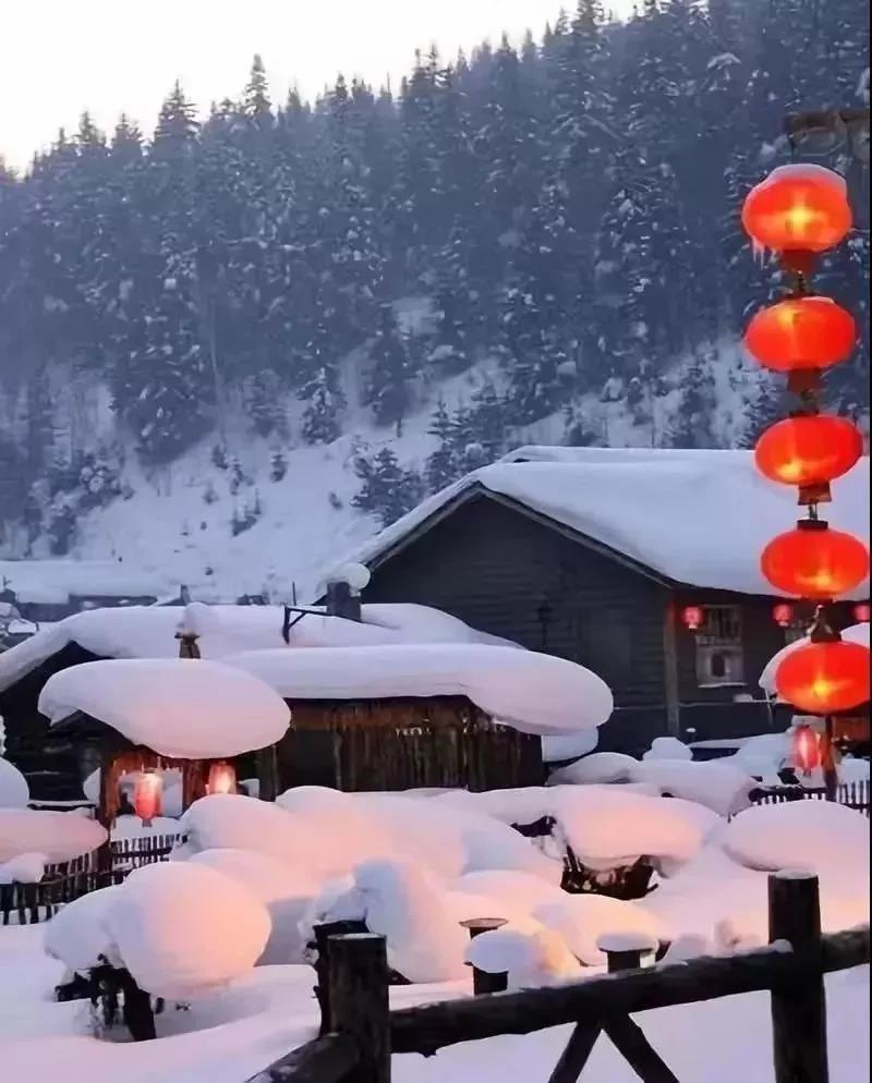 【追忆永恒】逝者如斯，思念绵长——那些年我们一起走过的日子